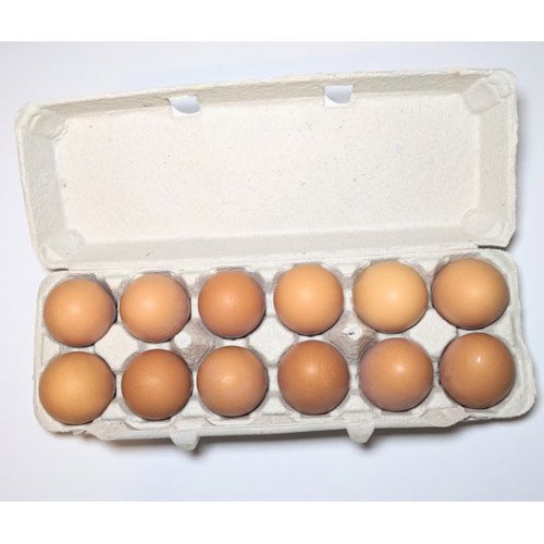 Cage Free Large Chicken Eggs 1 Dozen