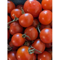 Florida Grown Cherry Tomatoes Pint
